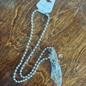 Stainless Steel Silver Necklace with skull pendant